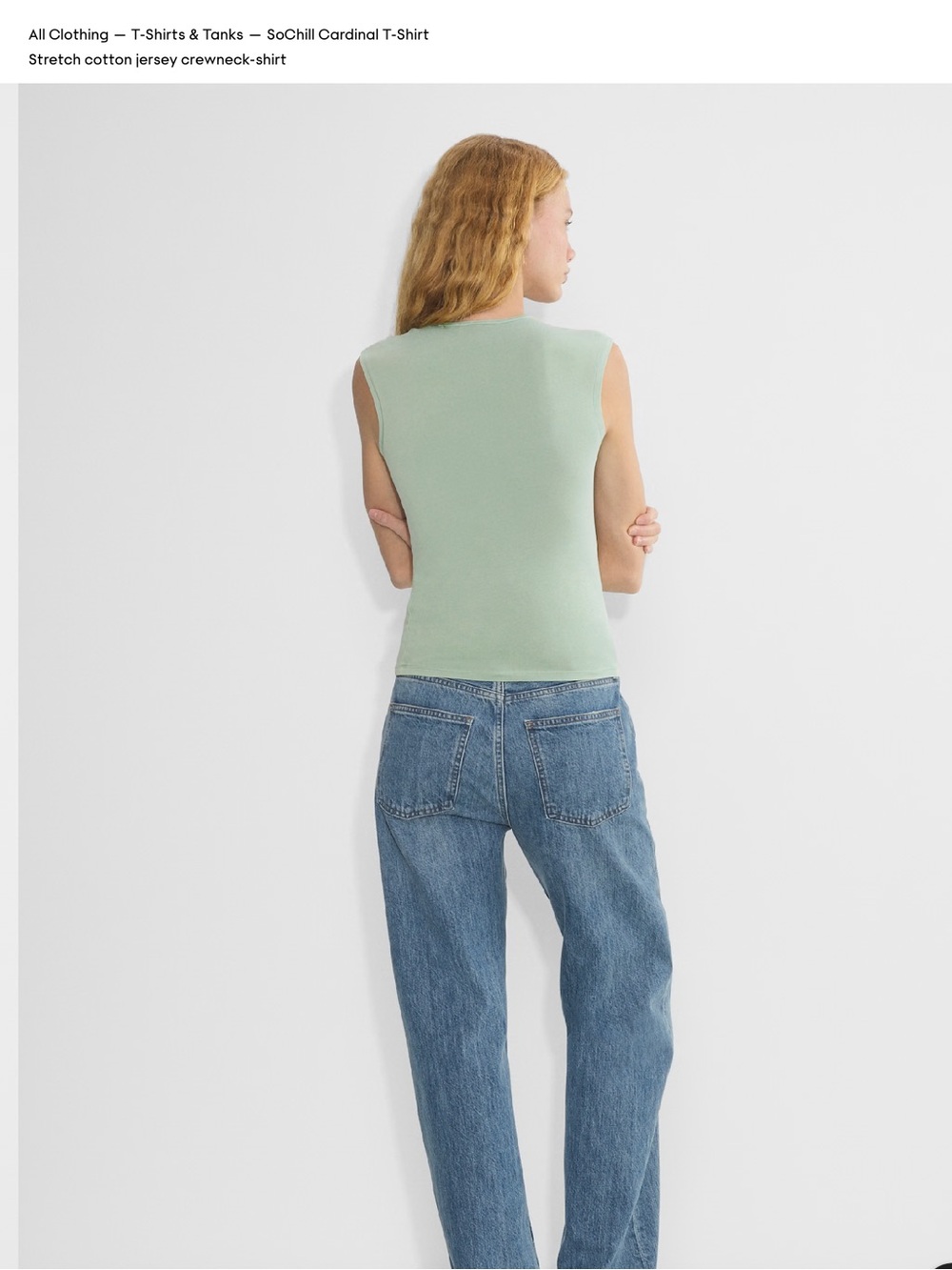 Aritzia so chill cardinal tshirt — Light Sage (gd terrace) - Picture 3 of 7